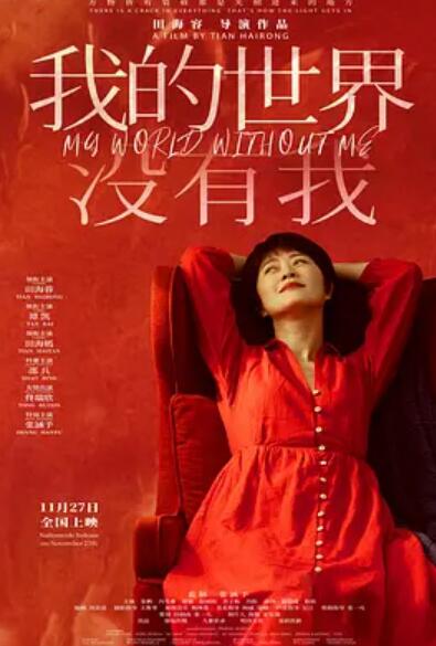 我的世界没有我剧照